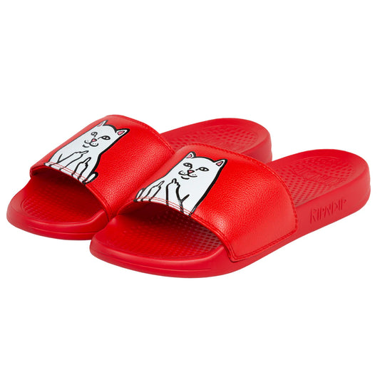 RIPNDIP Slides